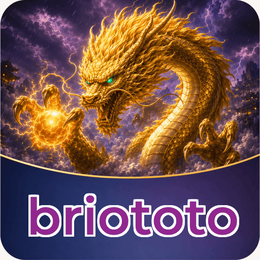 Executive Summary - briototo Testing Results