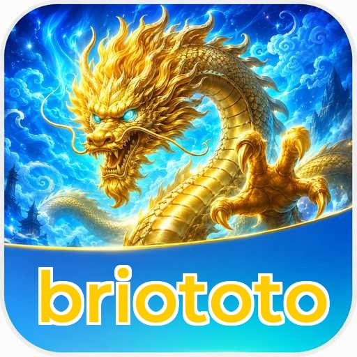 Troubleshooting - briototo Optimization Tips