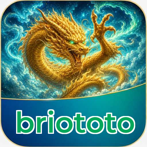 Developer Info briototo